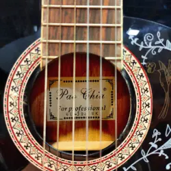 گیتار برند Pao Chia