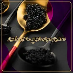 تحقیق درباره انواع ماهی خاویار - فروشگاه فایل دانش دیجیتال