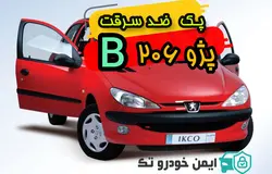 پک کامل ضد سرقت 206(B)