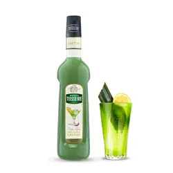سیروپ کاکتوس تیسیر ۱ لیتر - Teisseire cactus syrup - فروشگاه مواد غذایی استرو مارکت