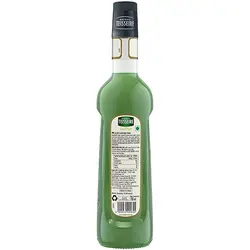 سیروپ کاکتوس تیسیر ۱ لیتر - Teisseire cactus syrup - فروشگاه مواد غذایی استرو مارکت