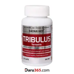 تریبولوس دایان هات دایان فارما ۶۰ عدد | Tribulus Dayan Hot