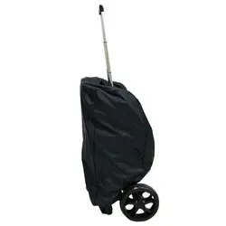 کالسکه مسافرتی اسکای لاو چرخ بزرگ  sky love