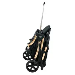 کالسکه مسافرتی اسکای لاو چرخ بزرگ  sky love