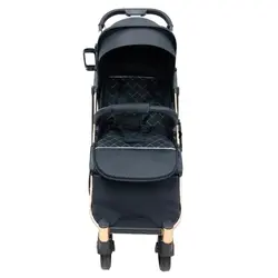 کالسکه مسافرتی اسکای لاو چرخ بزرگ  sky love