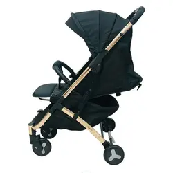 کالسکه مسافرتی اسکای لاو چرخ کوچک  sky love