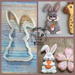 کاتر لاکی خرگوش