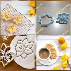 کاتر و مهر گل نرگس