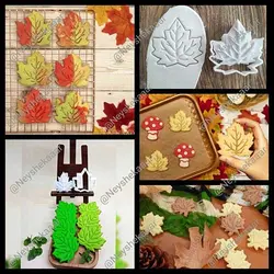 مهر و کاتر برگ پاییزی