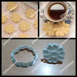 مهر-و-کاتر-گل-9-پر