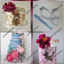 کاتر استیل-پیونی