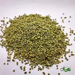 اورگانو بولد