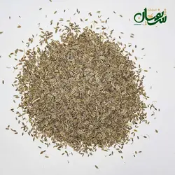 تخم شوید