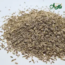 تخم شوید