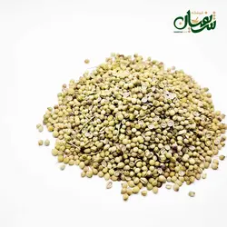 تخم گشنیز