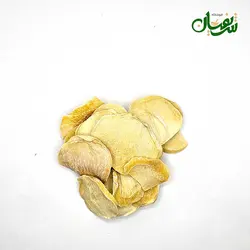 موسیر ناساب