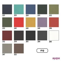 دیوایدر لیو مدل L55n