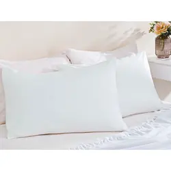 روبالشی انگلیش هوم مدل Plain بسته دو عددی - آنسو