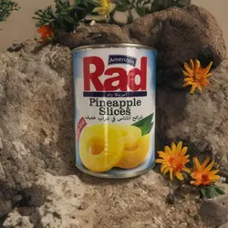 کمپوت آناناس اسلایس Rad American 565 گرمی