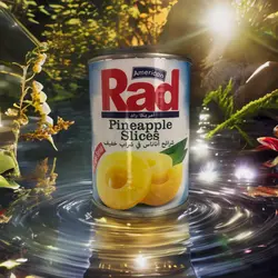 کمپوت آناناس اسلایس Rad American 565 گرمی