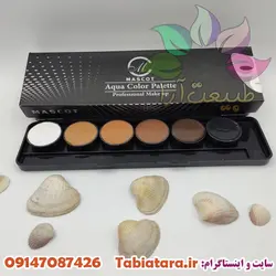 پالت ابرو ماسکات (آکوا شش رنگ)00203448