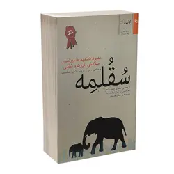 کتاب سقلمه اثر ریچارد اچ تیلر انتشارات شفاف
