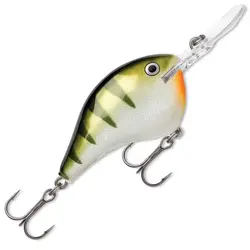 لور اشکی راپالا DT06-YP