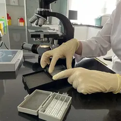 جعبه جای لام ۱۰ خانه با درب لولایی قفل‌دار پل ایده‌آل پارس .P.I.P