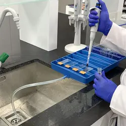 سینی رنگ‌آمیزی با جای لام شیاردار پل ایده‌آل پارس