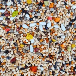 غذای پایه روزانه عروس هلندی دلیسید مدل ملومیکس