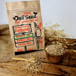 غذای پایه روزانه عروس هلندی دلیسید مدل ملومیکس