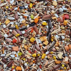 غذای تقویتی|تشویقی ویژه عروس هلندی دلیسید مدل توربومیکس