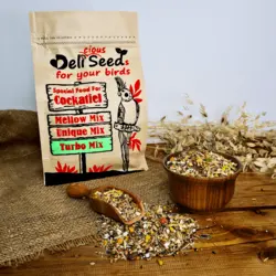 غذای تقویتی|تشویقی ویژه عروس هلندی دلیسید مدل توربومیکس