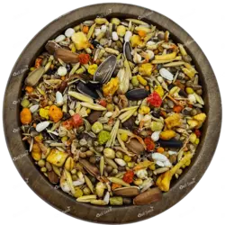 غذای تقویتی|تشویقی ویژه عروس هلندی دلیسید مدل توربومیکس