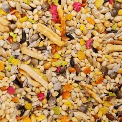 غذای ویژه روزانه فنچ دلیسید مدل گل میکس