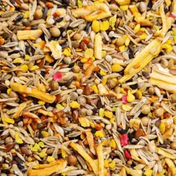 غذای تقویتی|تشویقی ویژه فنچ دلیسید مدل فول میکس