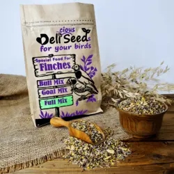 غذای تقویتی|تشویقی ویژه فنچ دلیسید مدل فول میکس