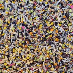 غذای تقویتی|تشویقی ویژه قناری دلیسید مدل کینگ میکس