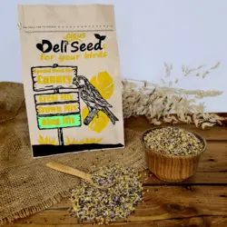 غذای تقویتی|تشویقی ویژه قناری دلیسید مدل کینگ میکس