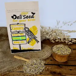 غذای ویژه روزانه قناری دلیسید مدل کرون میکس