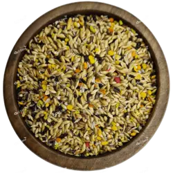 غذای ویژه روزانه قناری دلیسید مدل کرون میکس