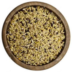 غذای پایه روزانه قناری دلیسید مدل کرست میکس