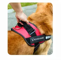 قلاده تنی سگ مدل سوفی – بدون لید