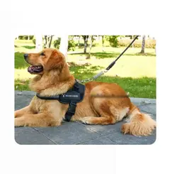 قلاده تنی سگ مدل سوفی – بدون لید