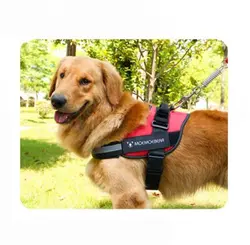 قلاده تنی سگ مدل سوفی – بدون لید