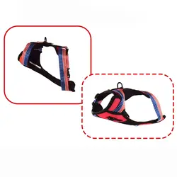 قلاده تنی دو تکه جرارد – بدون لید مخصوص سگ