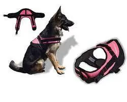 قلاده تنی دو تکه جرارد – بدون لید مخصوص سگ