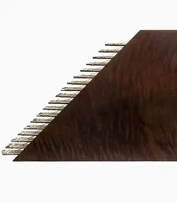 سنتور موسوی رزوود