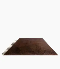 سنتور موسوی رزوود