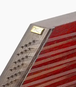 سنتور موسوی رزوود